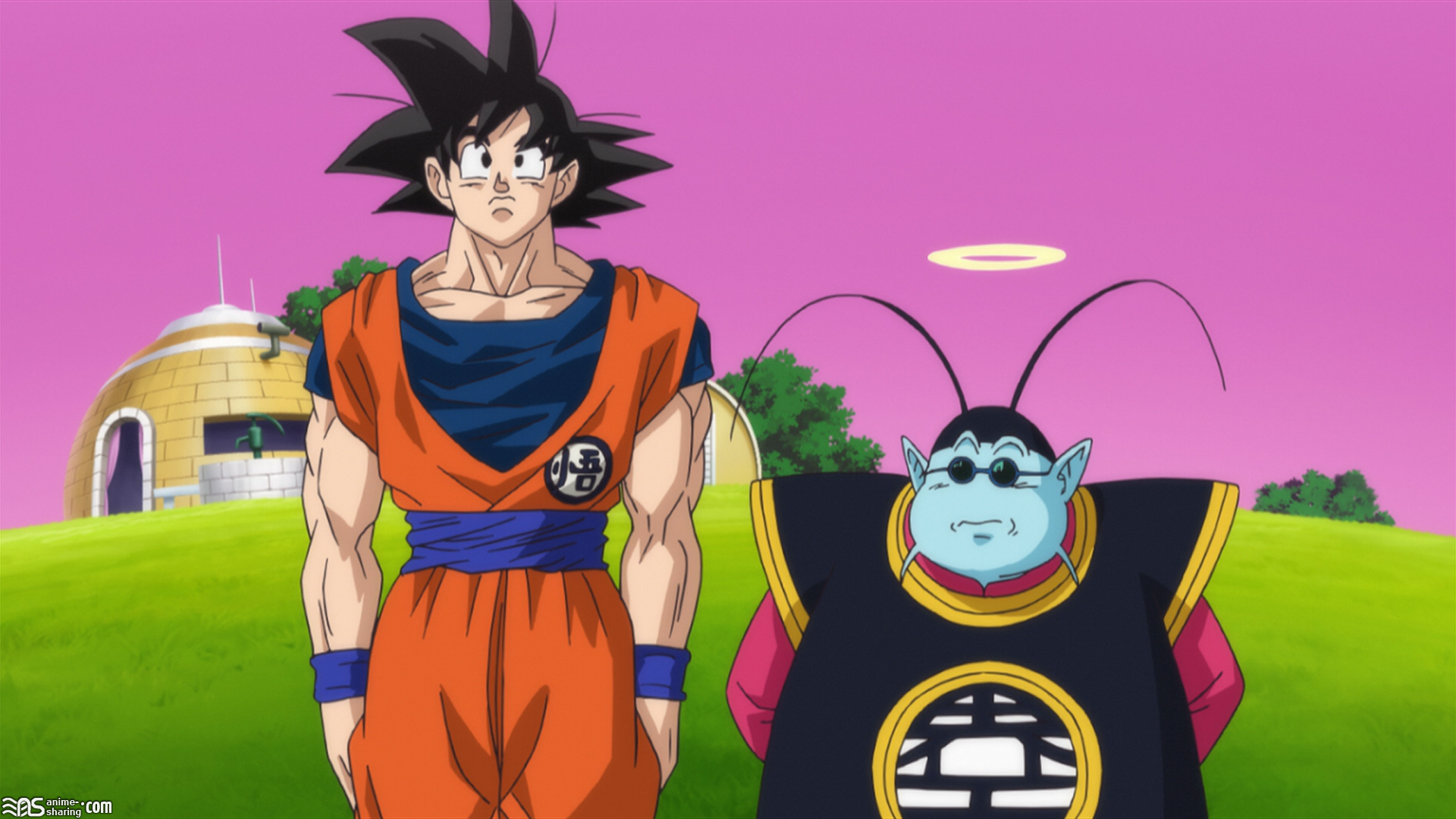 Anime Dragon Ball Z Completo em Blu Ray 1080p