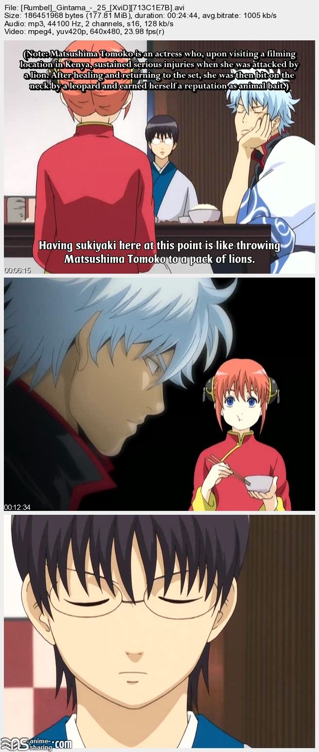 [Rumbel]_Gintama_-_25_[XviD][713C1E7B]_s.jpg
