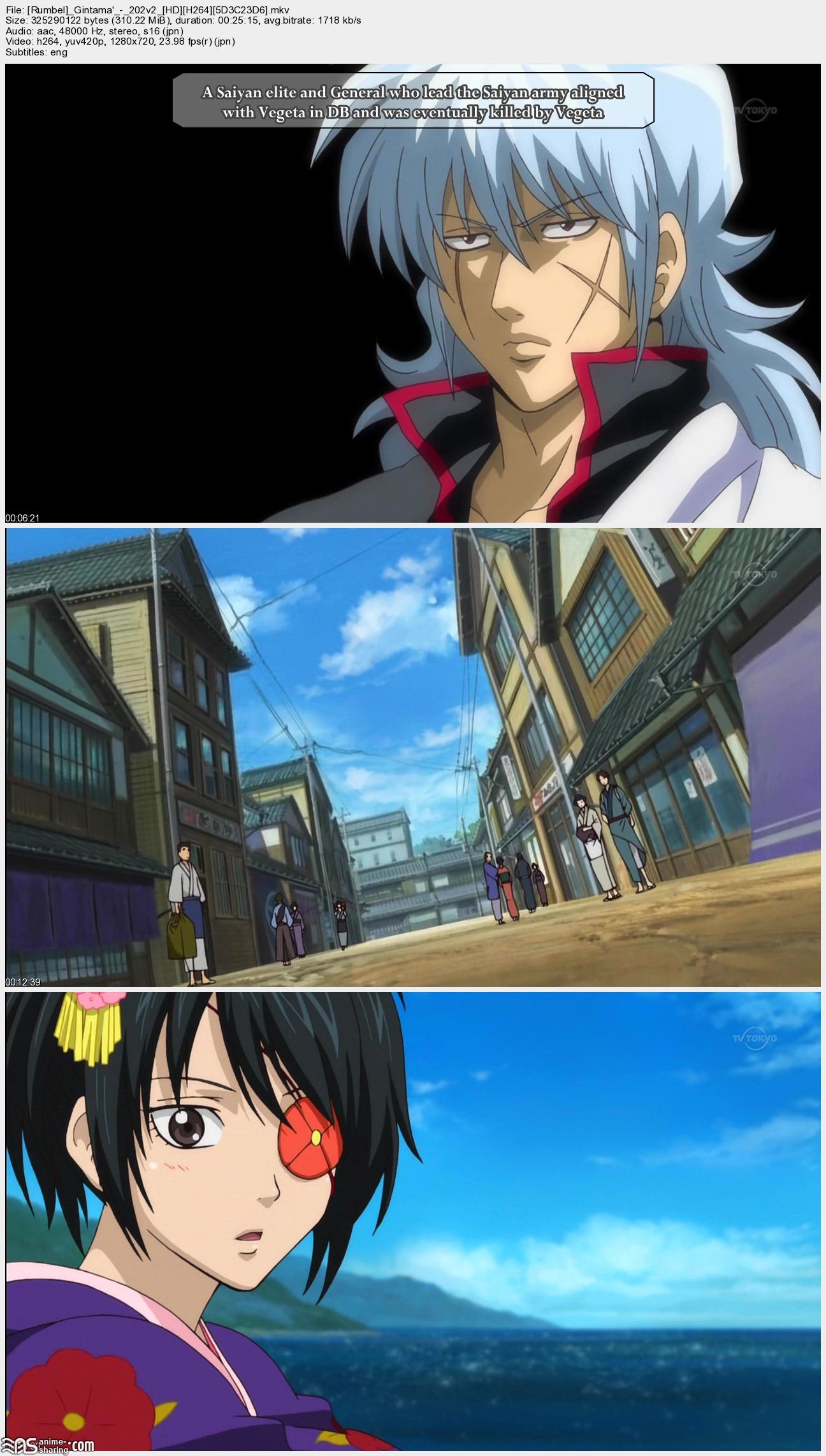 [Rumbel]_Gintama'_-_202v2_[HD][H264][5D3C23D6]_s.jpg