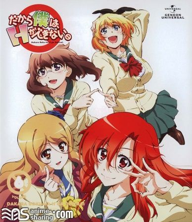 Dakara Boku wa, H ga Dekinai. (2013).jpg