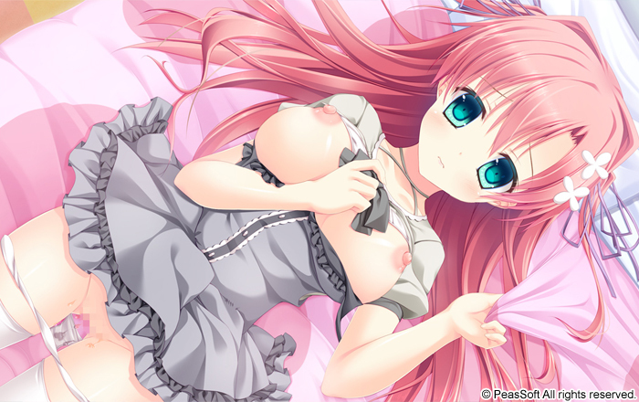 c840939sample10.jpg