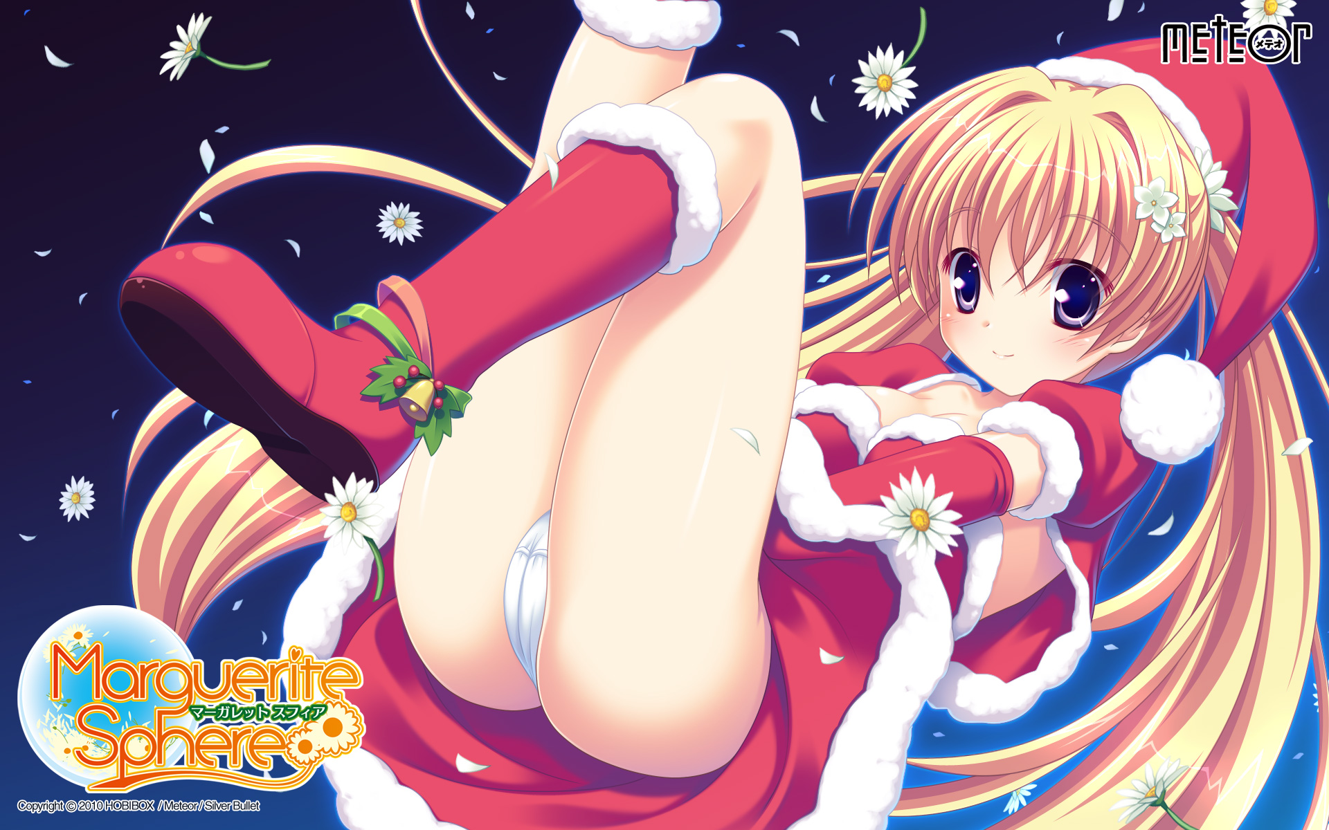 ms_Xmas2010-1920x1200.jpg