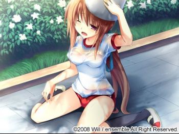 sample3.jpg