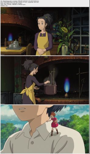 [Doki] Karigurashi no Arrietty (1280x692 h264 BD FLAC) [0501E64F]_s.jpg