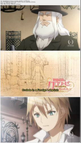 [HorribleSubs] Croisee in a Foreign Labyrinth - 01 [720p]_s.jpg