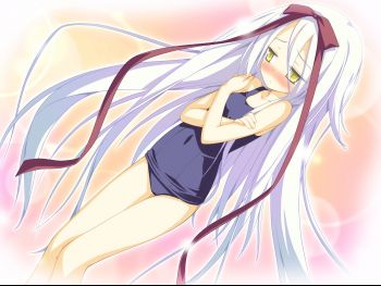 MARE_FD_e04b.jpg