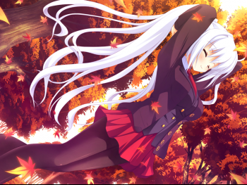 iri_e02_03.png