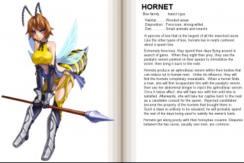 Hornet.png