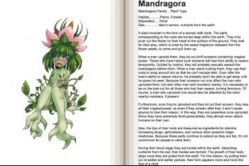 Mandragora.jpg