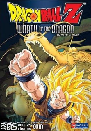 Dragon Ball Z Movie 13 - Wrath of the Dragon.jpg