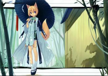 shiratama_desu.JPG