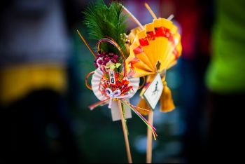 IMG_4678.jpg