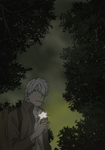 Mushishi Tokubetsu Hen - Hihamukage.jpg