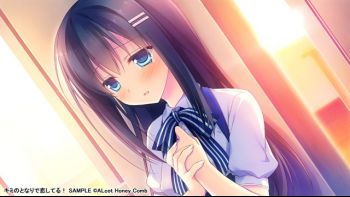 c824684sample1.jpg