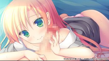 c824684sample6.jpg
