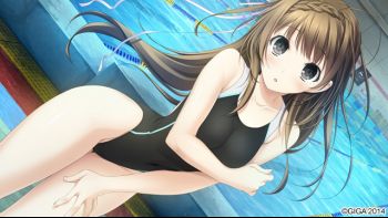 c824683sample1.jpg