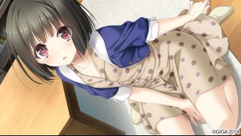 c824683sample5.jpg