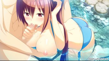 c842088sample9.jpg