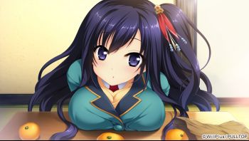 c842090sample5.jpg