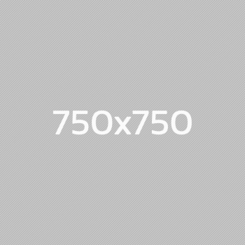 750.png