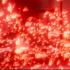 next image