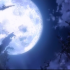 next image