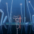 next image
