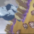 next image