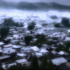 previous image