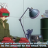 Katekyo Hitman Reborn! - (5) Kyuubi 3.png